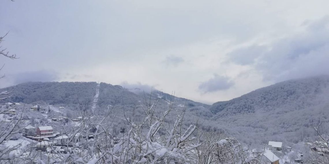 Синоптики назвали самый холодный день на этой неделе в Краснодарском крае