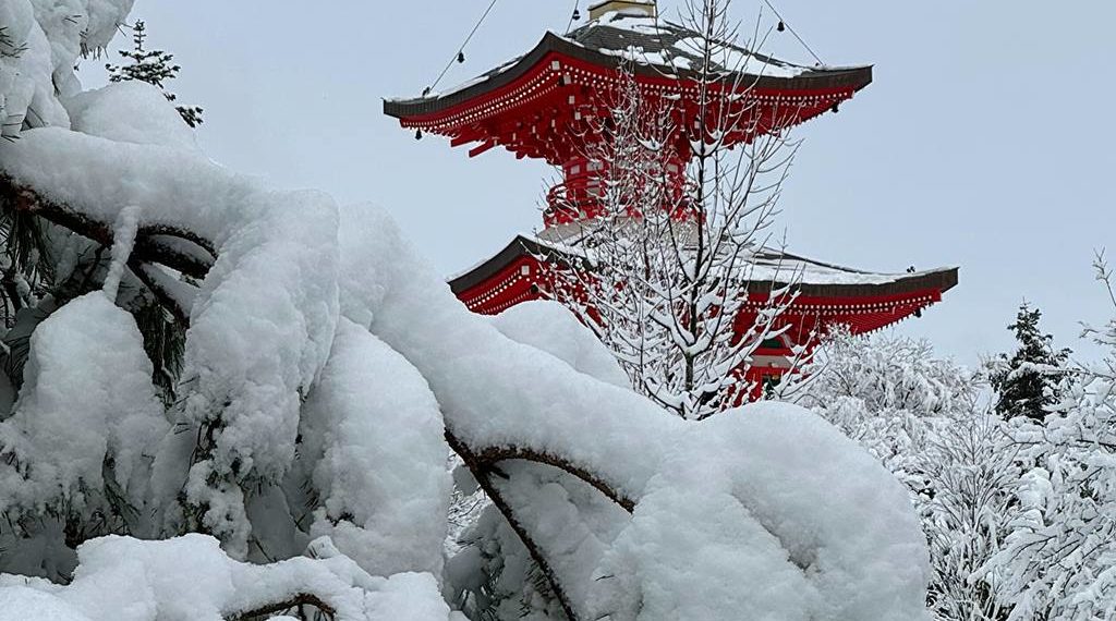 Жителям Краснодарского края назвали самый теплый день на неделе