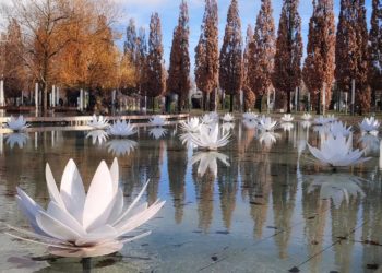 Туристка раскритиковала туалеты и указатели к ним в парке Галицкого в Краснодаре