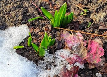 Синоптик Вильфанд предрёк температуру выше нормы в Краснодарском крае