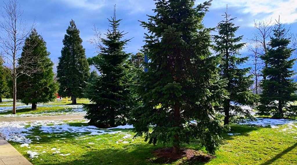 На Кубани погода снова сойдет с ума. Синоптики дали новый прогноз на выходные