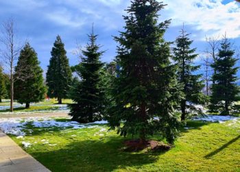 На Кубани погода снова сойдет с ума. Синоптики дали новый прогноз на выходные