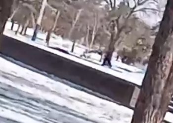 На Кубани ребенок засыпал снегом Вечный огонь