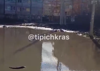 Так сойдет! В Краснодаре воду с одной улицы откачивают на другую