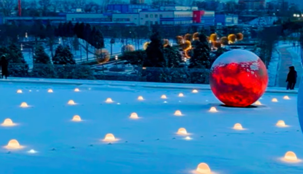 В Краснодаре фото заснеженного парка Галицкого выложили в Сеть