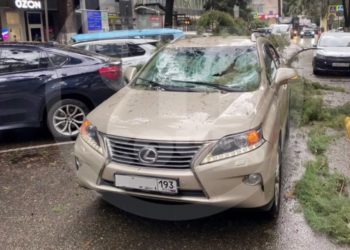 В Сочи дерево рухнуло на проезжающий Lexus
