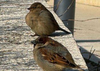 Синоптики рассказали, в какой части Краснодарского края будет теплее всего