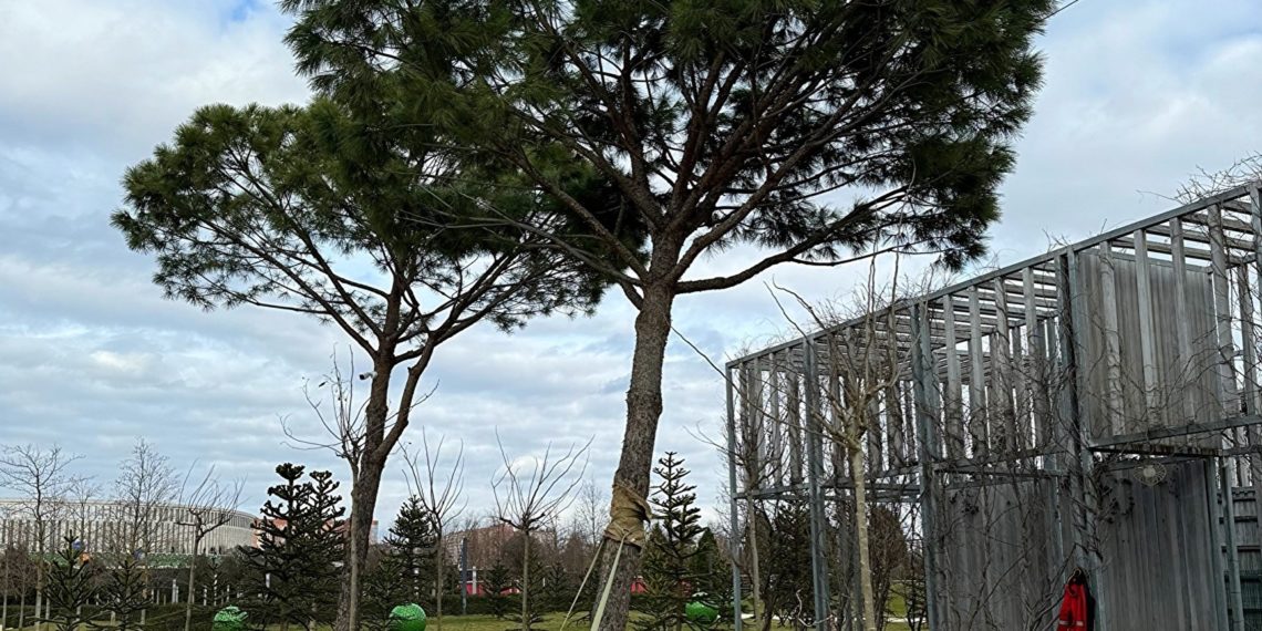 «Чтобы увидеть радугу». Известно, когда на Кубани переломится ситуация в погоде