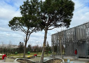 «Чтобы увидеть радугу». Известно, когда на Кубани переломится ситуация в погоде