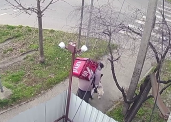 Появилось видео, как курьер-инвалид в Краснодаре избивает свою собаку-поводыря