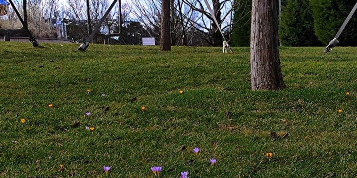 “Весна на Кубани будет аномальная”. Синоптики рассказали, что придет
