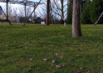 “Весна на Кубани будет аномальная”. Синоптики рассказали, что придет