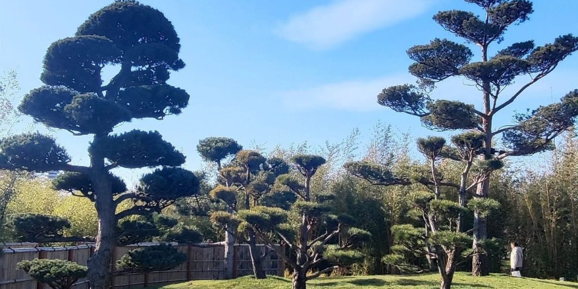 Погода на Кубани летом-2024 перевернется с ног на голову. Известно, что придет