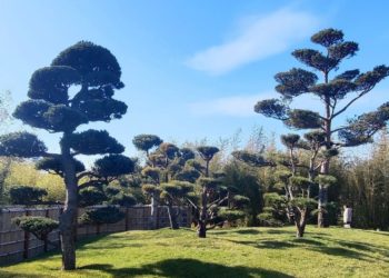 Погода на Кубани летом-2024 перевернется с ног на голову. Известно, что придет