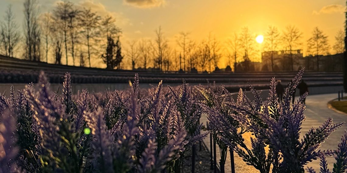 В Гидрометцентре рассказали о погоде в выходные дни в Краснодарском крае