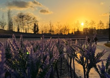 В Гидрометцентре рассказали о погоде в выходные дни в Краснодарском крае