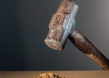 В Сочи мужчина напал на собаку с молотком