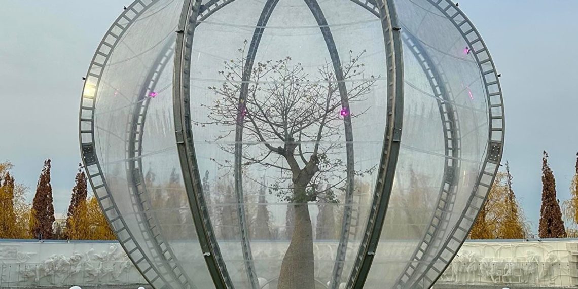 Синоптик Вильфанд рассказал, ожидаются ли опасные явления в Краснодарском крае