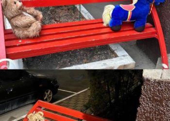 Жителей Краснодара напугали детские игрушки на лавочке