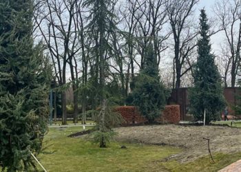 В Краснодаре в Японский сад пропали очереди, а в парке Галицкого новая локация