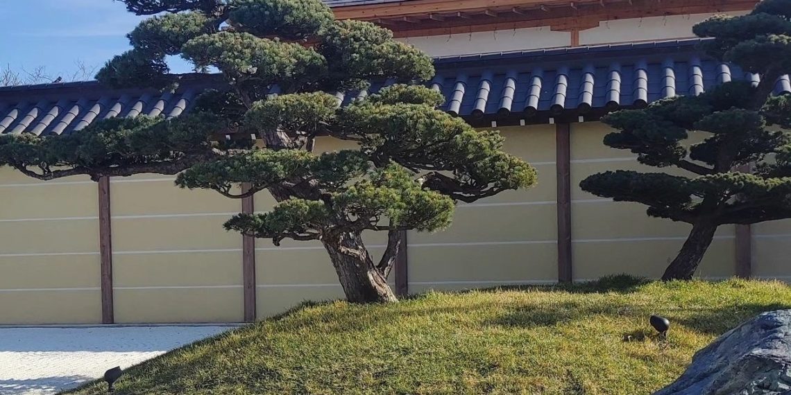 Синоптики рассказали, какой будет погода 23 февраля и 8 марта на Кубани