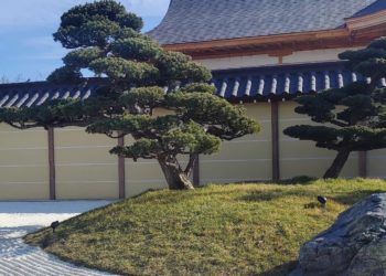 Синоптики рассказали, какой будет погода 23 февраля и 8 марта на Кубани