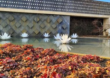 Синоптик Александр Шувалов: Весна в Краснодарском крае не за горами