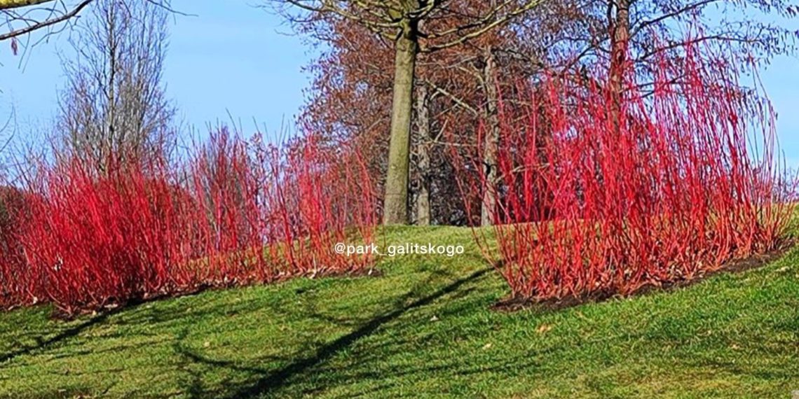 «На Кубани среди зимы прорвется весна». Синоптики сказали, к чему готовиться