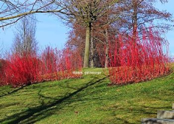«На Кубани среди зимы прорвется весна». Синоптики сказали, к чему готовиться