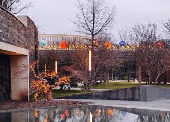 Короткая неделя в Краснодарском крае начнется с отрицательной температуры