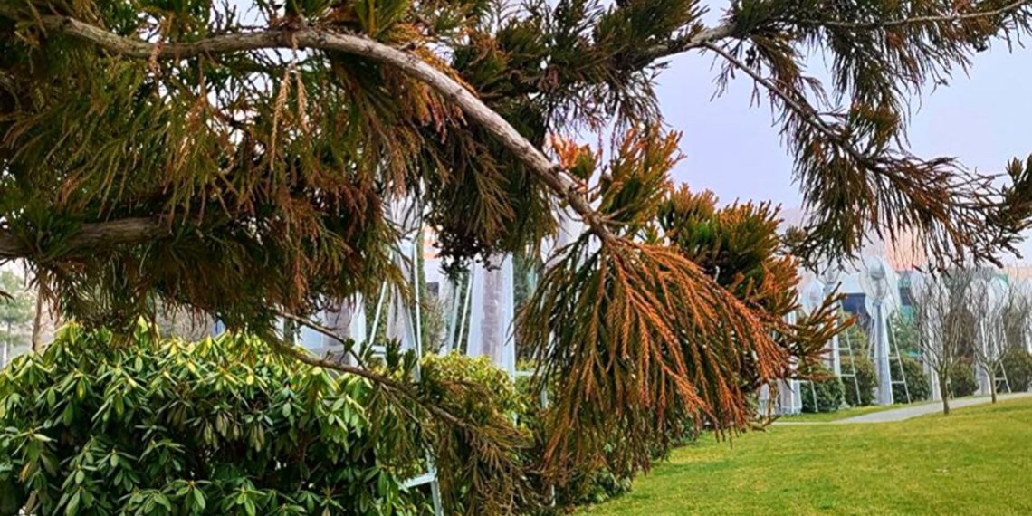 Синоптики назвали самые холодные и теплые дни в предстоящем марте на Кубани