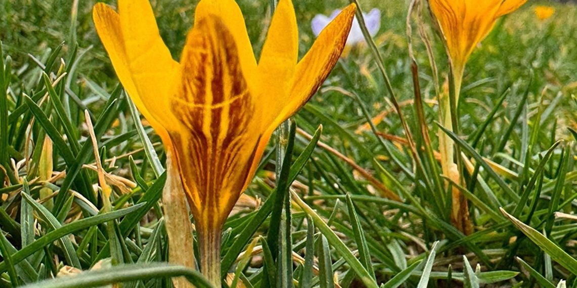 “Погода разочарует”. Как пройдет остаток февраля в Краснодарском крае