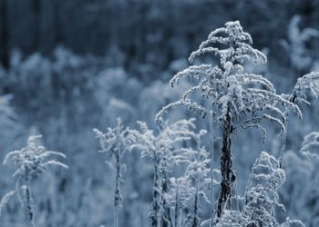 “Завернут морозы до -35”. Синоптики о погоде в марте в стране и на Кубани
