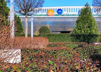 Синоптики ЦГМС рассказали о погоде в Краснодарском крае 1 февраля 2024 года