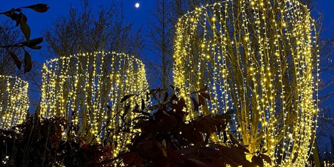 В Краснодарском крае в выходные радость потепления неожиданно омрачится