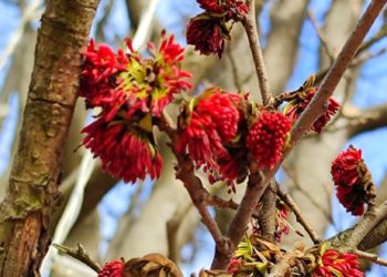 Синоптики рассказали о погоде на неделе с 19 по 25 февраля в Краснодарском крае