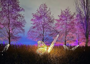 «Готовьте пуховики». Синоптики рассказали, сколько простоит тепло на Кубани