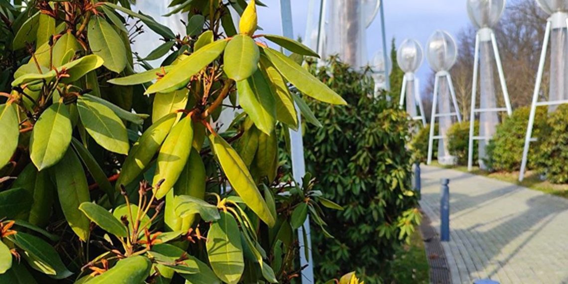 Синоптик Шувалов: Повышение температуры на Кубани не будет резким и мгновенным