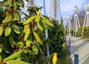 Синоптик Шувалов: Повышение температуры на Кубани не будет резким и мгновенным