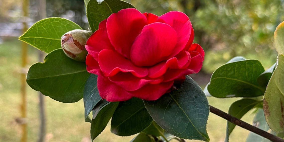 “Меняем гардероб”: Гидрометцентр выпустил прогноз с 16 по 21 февраля на Кубани