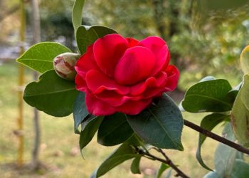 “Меняем гардероб”: Гидрометцентр выпустил прогноз с 16 по 21 февраля на Кубани