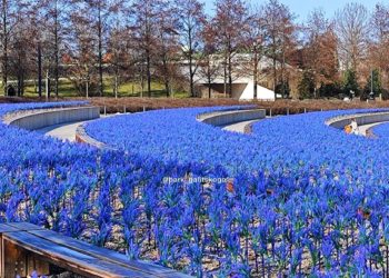 Синоптики рассказали, когда на Кубани наступит самый жаркий день этой недели