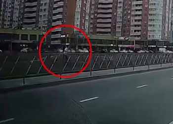 В Краснодаре стая собак напала на девушку