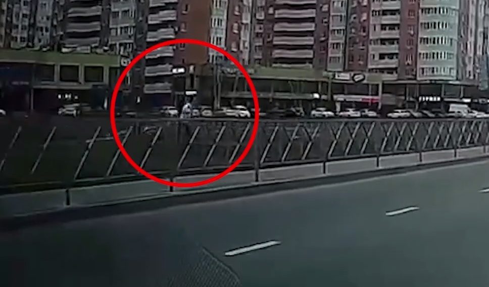 В Краснодаре стая собак напала на девушку