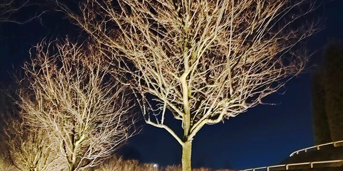 Тепло и солнце пришли на Кубань. Синоптики рассказали, что будет дальше