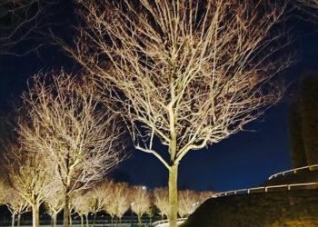 Тепло и солнце пришли на Кубань. Синоптики рассказали, что будет дальше