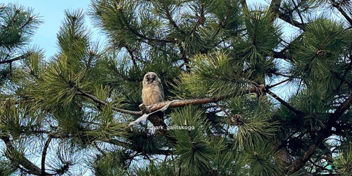 “Начало марта на Кубани будет аномальным”. Синоптики огорошили прогнозом