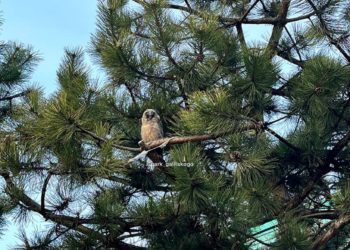 “Начало марта на Кубани будет аномальным”. Синоптики огорошили прогнозом