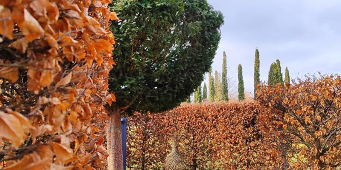 Синоптики поделились прогнозом в День защитника Отечества в Краснодарском крае