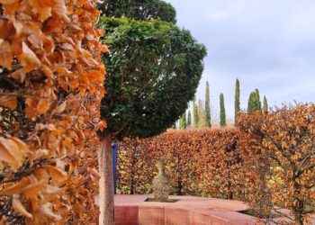 Синоптики поделились прогнозом в День защитника Отечества в Краснодарском крае